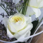 04-28