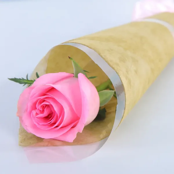 Single pink rose wrapped