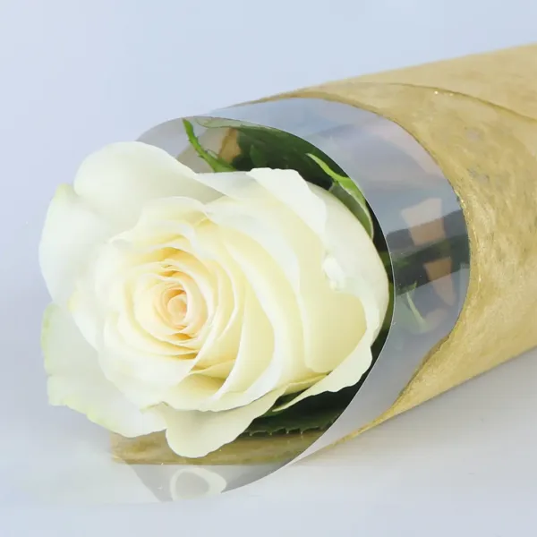 Single rose wrapped