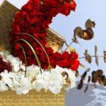 Golden moon crescent arrangement2