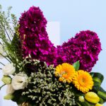 moon crescent arrangement3