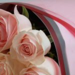one dozen pink roses modern wrap 004