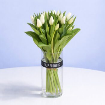 A clear glass vase filled with fresh white tulips, showcasing their elegant petals and green stems.