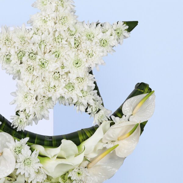 Radiant Crescent Arrangement