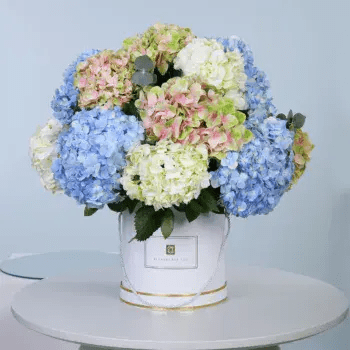 Hydrangeas for corporate