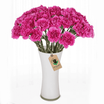 Carnations For Mother's Day
