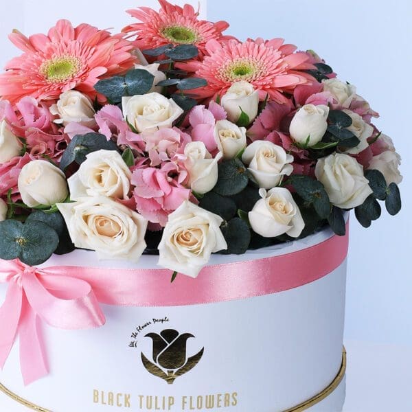 02 Gerbera & Roses In Box