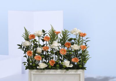 vibrant orange gerbera daisies and elegant white roses
