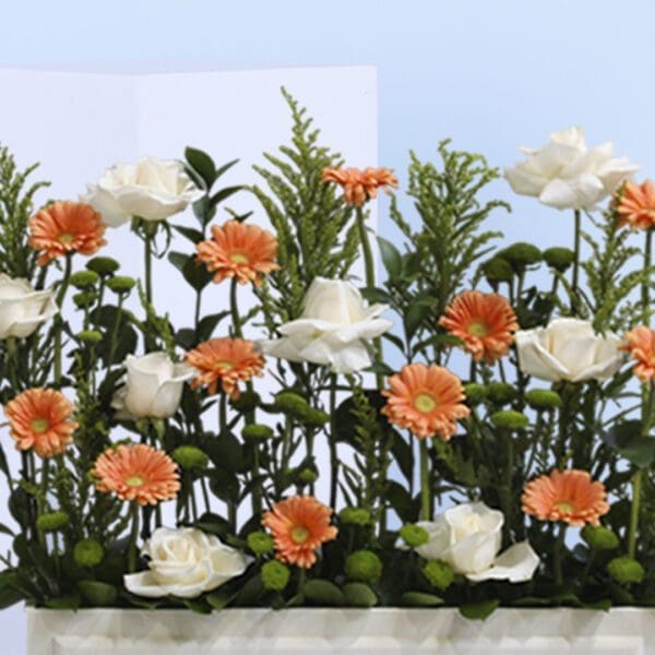 3 vibrant orange gerbera daisies and elegant white roses