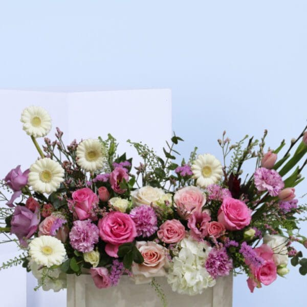 enchanted garden mix flowers
