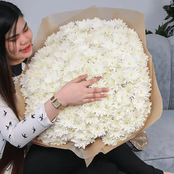 Chrysanthemum for graduation day