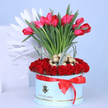 Tulips in box