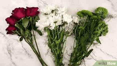 red, white and green flowers stems