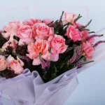 02-24 (1)
