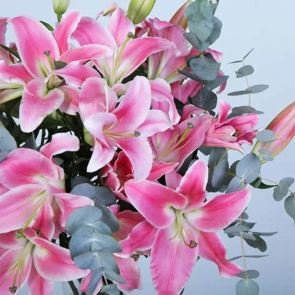 Serene Pink Lily Vase