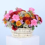 01 - Vibrant Harmony Basket