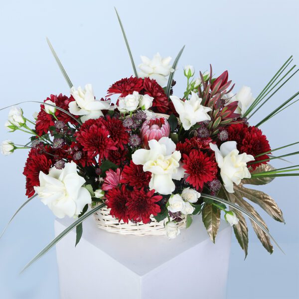 A beautiful basket arrangement of red chrysanthemums and white roses, enhanced by vibrant greenery.