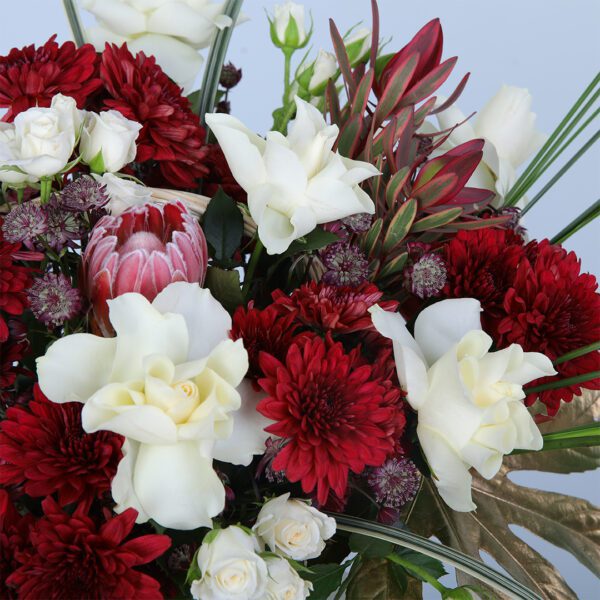 A vibrant basket filled with red chrysanthemums and white roses, surrounded by lush greenery for an eye-catching display.