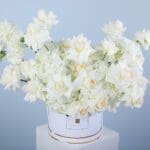 04 -  All-White Elegance in a Box