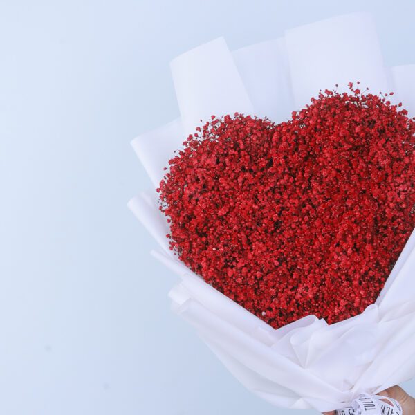 A heart-shaped arrangement of red Gypsophila.