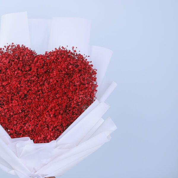 Red Gypsophila flowers arranged in a heart shape.