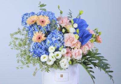 Beautiful arrangement of blue hydrangeas, daisies, and peach and white carnations in a white box with greenery.