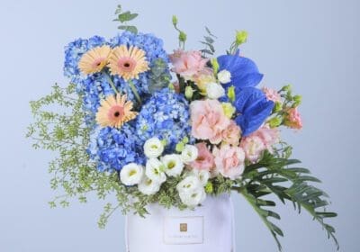 Beautiful arrangement of blue hydrangeas, daisies, and peach and white carnations in a white box with greenery.