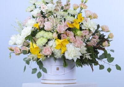 Mixed blooms flower box featuring a variety of graceful flowers in an elegant arrangement.