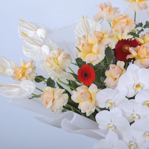 Vibrant Bouquet with 20 Peach Roses, 6 White Anthurium, 2 Phalaenopsis Orchids, 10 Gerberas, and Greenery