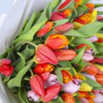 3 - Mixed Tulip Bouquet