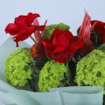 3 - Red and Green Bouquet