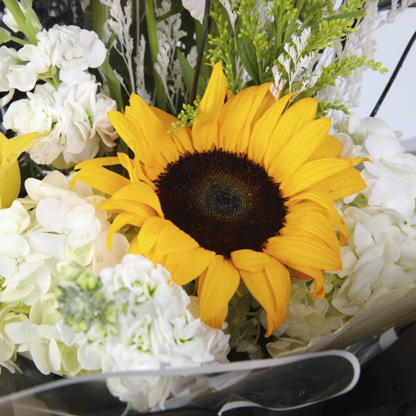 A vibrant sunflower bouquet with dramatic black leaves elegantly displayed on a pedestal.