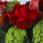 4 - Red and Green Bouquet