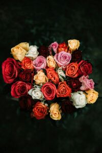 A vibrant bouquet of roses in various shades of red, pink, white, orange, and yellow, arranged in a heart shape against a dark background.