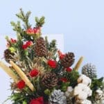 4 Christmas Cheer in a Box