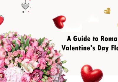 "Find the perfect romantic Valentine's Day flowers. Explore the symbolism of roses, lilies, and tulips for a memorable celebration of love and affection."