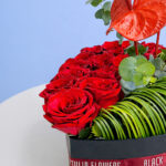 heart-soul-box-2026_02