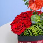 heart-soul-box-2026_02