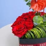 heart-soul-box-2026_02