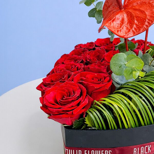 heart-soul-box-2026_02