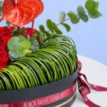 heart-soul-box-2026_03