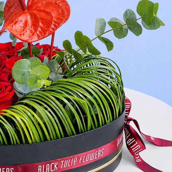 heart-soul-box-2026_03