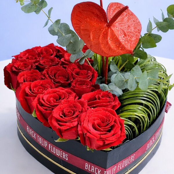 heart-soul-box-2026_04