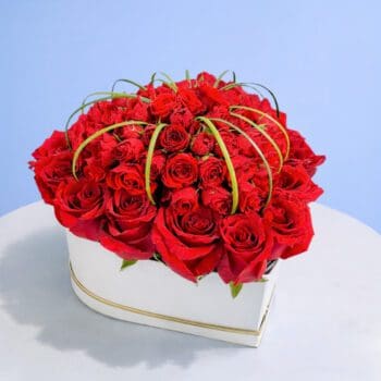 Roses of Love