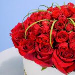 roses-of-love-2026_02