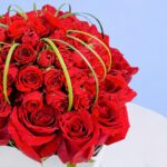 roses-of-love-2026_03