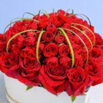 roses-of-love-2026_04