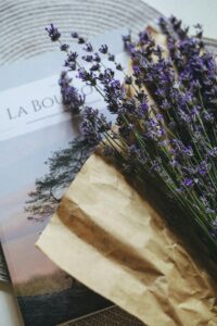 A bundle of dried lavender flowers