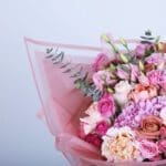 02 5 (1)