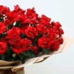 03 (9)